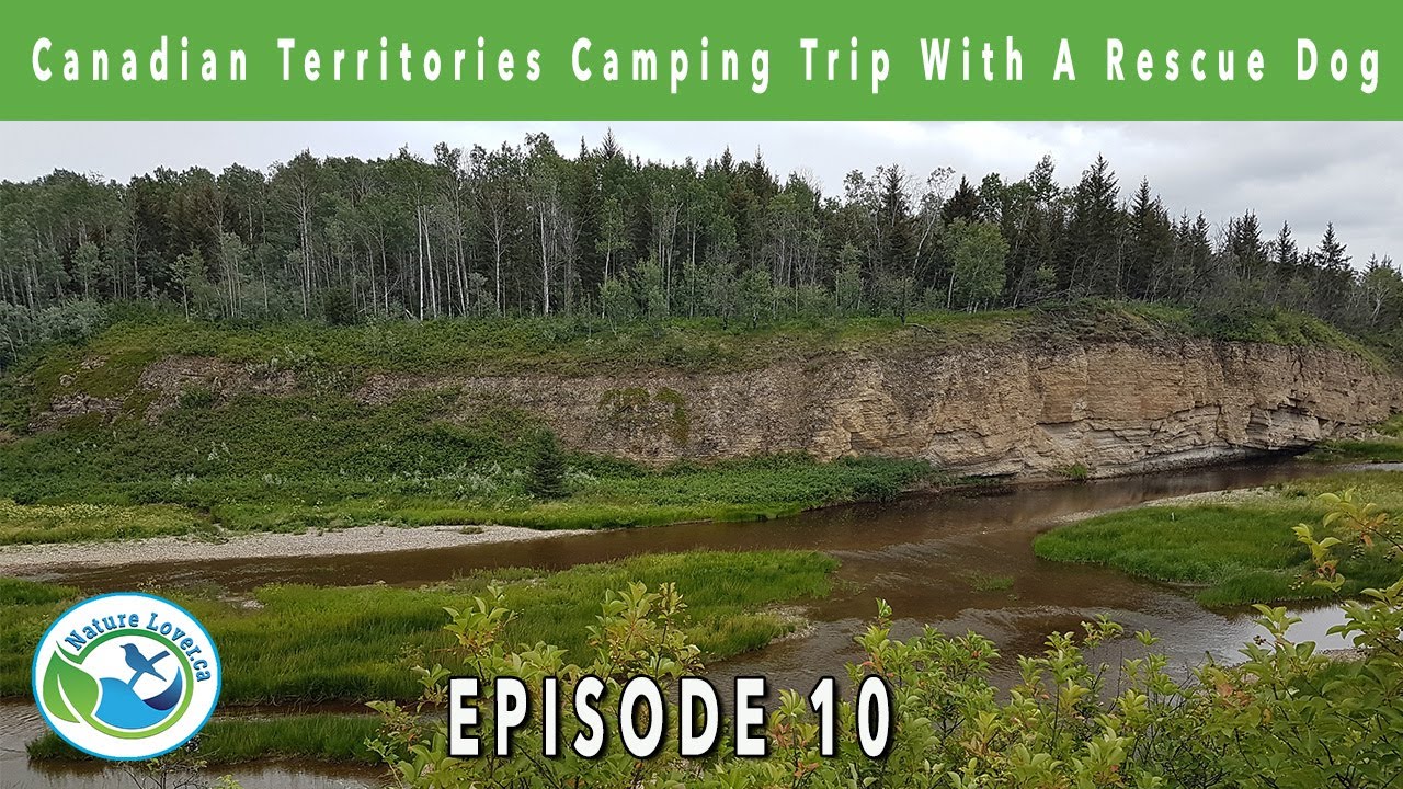 What Happens When You Hike With a Million Mosquitoes?