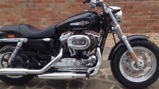 Harley davidson 1200 custom Xl sportster review 2015