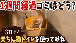 【楽ちん猫トイレ#2】☆1週間経過ゴミはどうなった？
