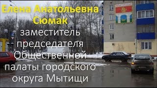 Сюмак Елена Анатольевна, Общественная палата Мытищи | Перловка