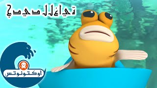 12 أوكتونوتس | أسماك نطاط الطين | السلسلة 3 | الحلقة