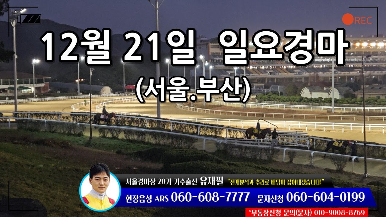 [ 2025년 12월 21일 일요(서울.부산)경마~!]