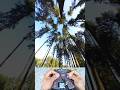 Forest freestyle 🌲💨🛸 #fpv #fpvdrone #drone #fyp