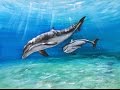 Watercolor Dolphins Painting Demonstration