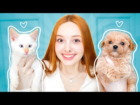 КОШКА или СОБАКА? (мы завели питомца)