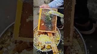 Inside Henan Honey Frames