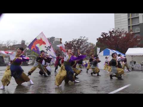 「 音錦 」四日市よさこい祭り2016【市民公園会場】