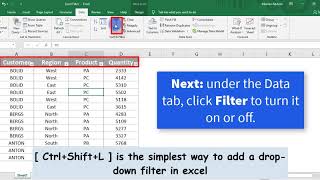 How to Display the Filter Drop Down headings in Excel Net Worth
