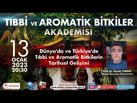 Video: Bölge 6 Kamelya Bitkileri - Bölge 6 İklimleri İçin Kamelya Seçimi