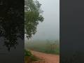 வாகாய் வாகாய் வாழ்கிறேன்😇#palamaner #watsupstatus #travelvlog #morningvibes #fog #viralsong #shorts