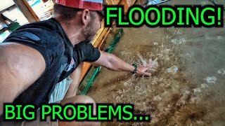 Renovating an Abandoned Mansion Part 26