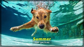 Ron Gelinas - ☀️Summer☀️ - Royalty Free Summer Vibes [OFFICIAL VIDEO]