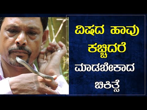 ನಾಟಿ ಔಷಧಿ ಹಾವು ಕಚ್ಚಿದಕ್ಕೆ ಪರಿಣಾಮಕಾರಿಯೇ part 7| graft drug is effective for snake bite gururaj sanil