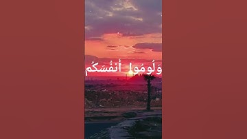 فلا تلوموني ولوموا أنفسكم/قران كريم