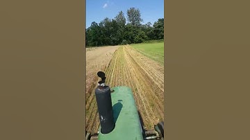 Combining wheat with a Allis Chalmers 90 combine