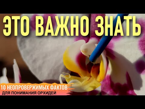 10 НЕОСПОРИМЫХ ФАКТОВ, КОТОРЫЕ ПОМОГУТ ВАМ ЛУЧШЕ ПОНЯТЬ ОРХИДЕИ! ЭТО ВАЖНО ЗНАТЬ КАЖДОМУ НОВИЧКУ!