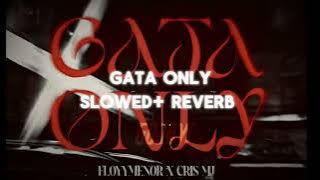 [GATA ONLY] [SLOWED REVERB] [CRIS MJ | FLOYYMENOR] #crismj #floyymenor #gataonly#slowedandreverb