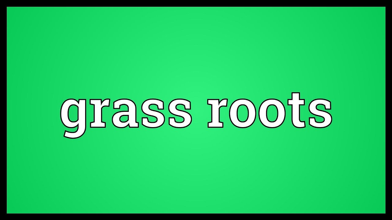 Grass roots Meaning YouTube