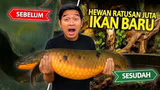 HEWAN RATUSAN JUTA BARU DISINI! SESUDAH DAN SEBELUMNYA BERUBAH DRASTIS BANGET! DUNIA AIR TAWAR TMII!