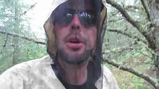Original Bug Shirt