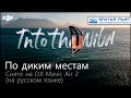 По диким местам. Снято на DJI Mavic Air 2