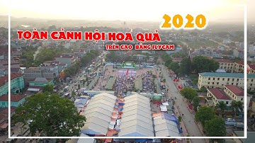 Toàn Cảnh FlycamTrên Cao Hội Chợ Hoa Quả Lục Ngạn/2020 -  Tùng Travel