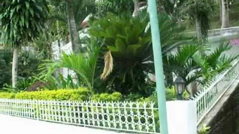 DSCF8975.AVI