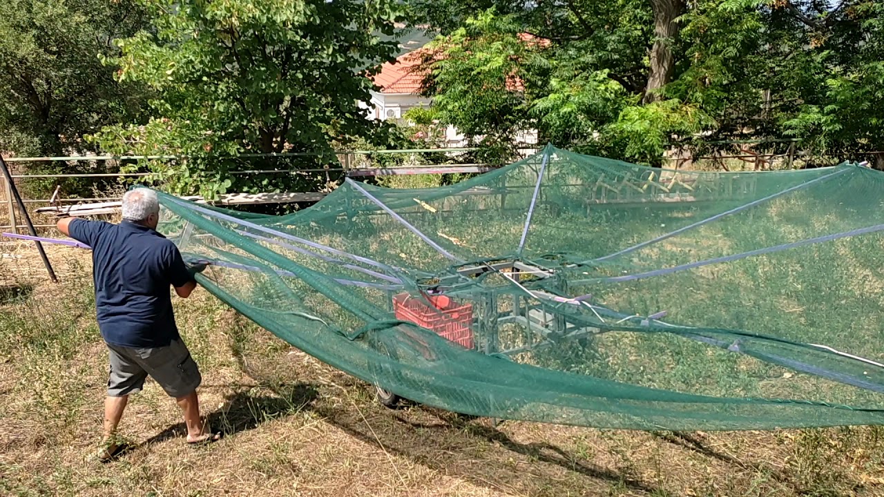 Διχτυ για συγκομιδή ελαιόκαρπος. (Αραχνη)