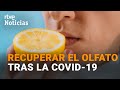 How To ACCELERATE The Recovery Of Lost TASTE And SMELL After COVID 19 I RTVE How To ACCELERATE The Recovery Of Lost TASTE And SMELL After COVID 19 I RTVE