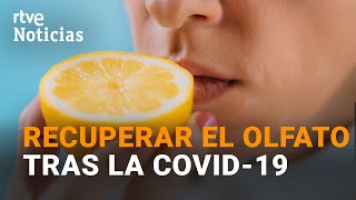 Cómo Acelerar La Recuperación Del Gusto Y El Olfato Perdido Tras La Covid-19 I Rtve