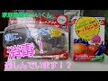 【シャインマスカット】第２０回、黒とう病対策【家庭菜園】