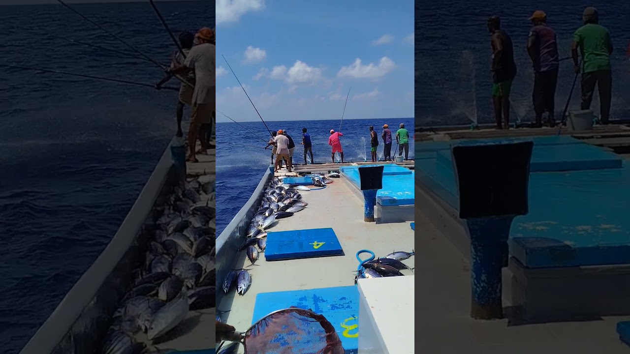 Old is gold very strong fisherman 