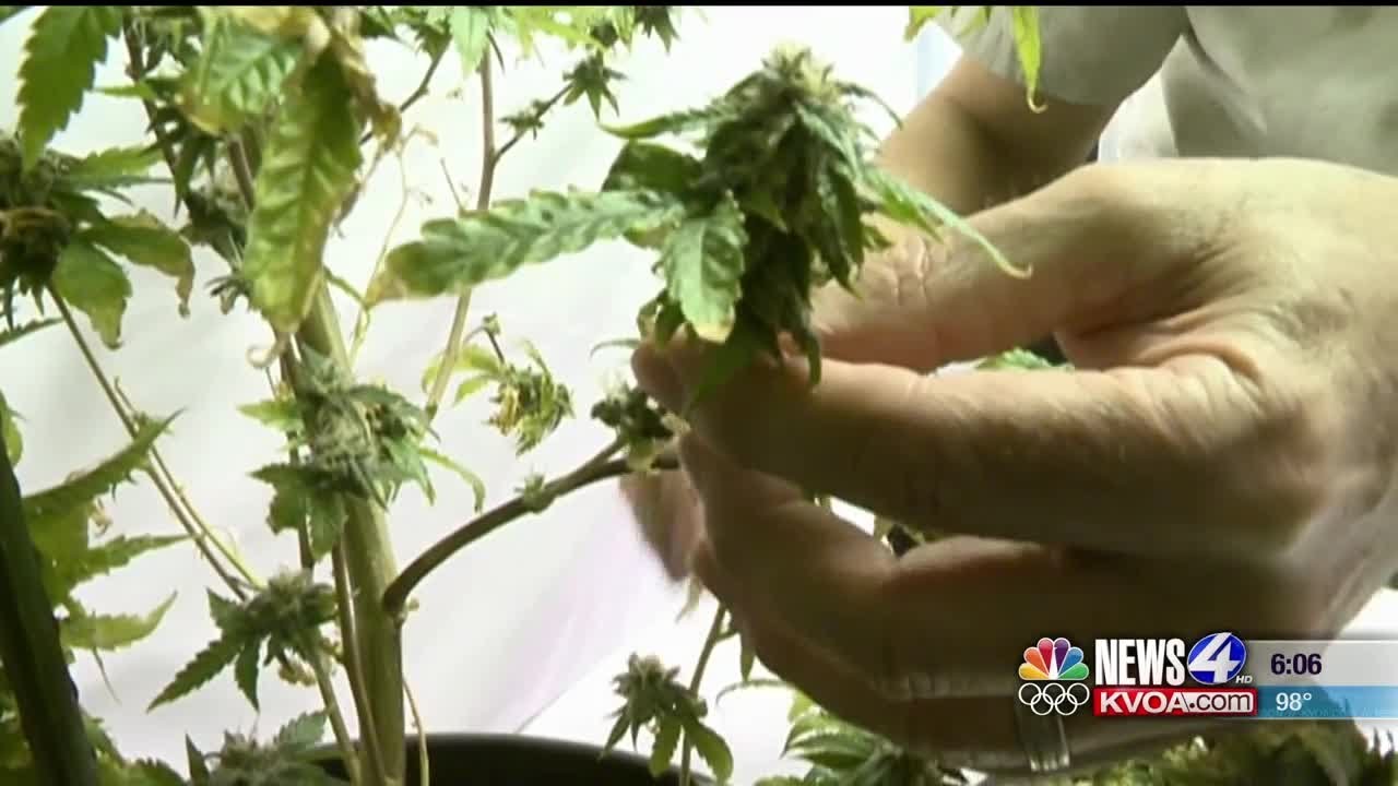 video phone beyonce mp3 Arizona's 2020 marijuana initiative tries to fix what went wrong the last time