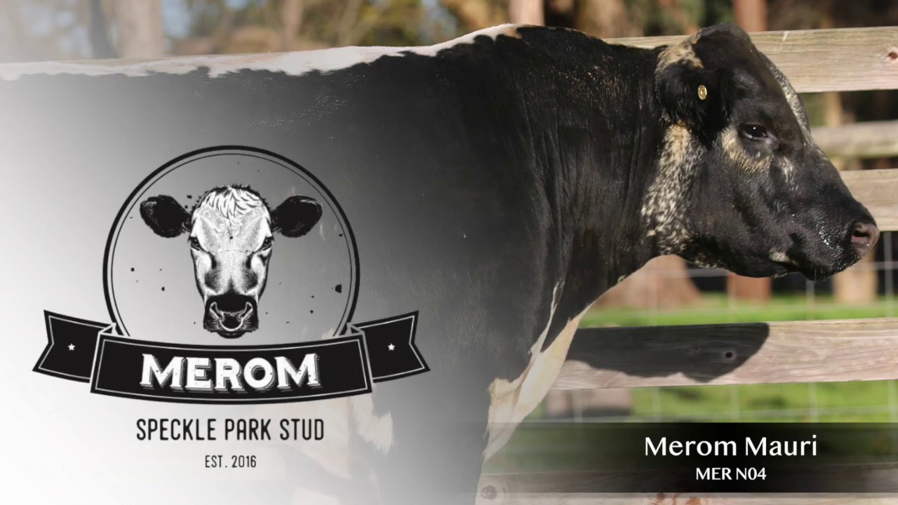 Merom Mauri - YouTube
