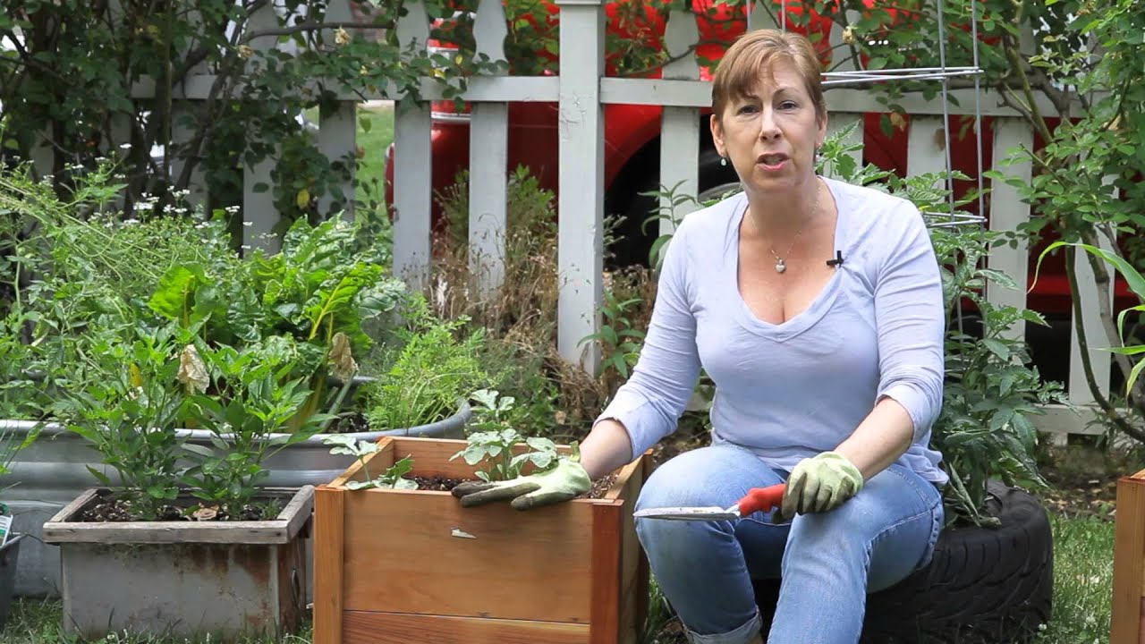 How to Plant Wood Containers in a Garden Garden Space YouTube