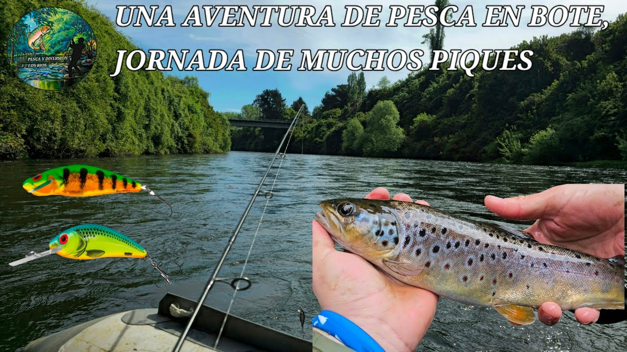PESCA Y DIVERSIÓN LOS RÍOS/AVENTURA EN BOTE, JORNADA DE PIQUES🎣🇨🇱