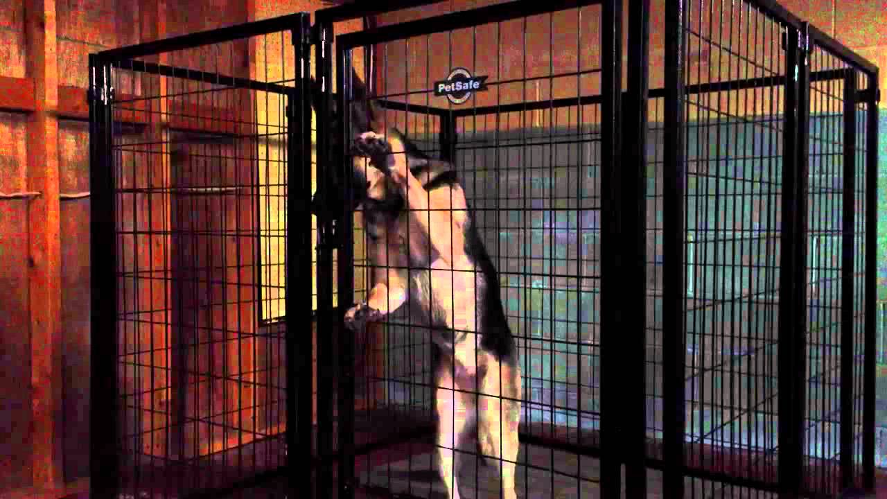 Cage Deutsch Cage Deutsch