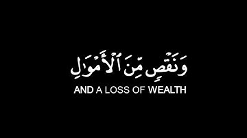 كروما شاشه سوداء قرآن كريم 🌿تلاوة من سورة البقرة 🌿القارئ هاني العزوني 🌿