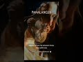 Panalangin!🙏✝️🕊#god #love #life #jesus #prayer #inspiration #motivation #spiritual #faith #shorts