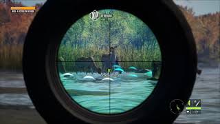 The Hunter  Call of the Wild Photo Hunt and double kill Fallow Deer with 270 Huntsman Riffle screenshot 1