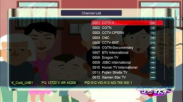 How to setup Twin tuner for ibravebox f10s.