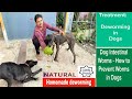 Indian Breeders Secret For Natural Deworming with Zero Cost - Secret Reveled First Time