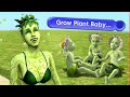 Sims 2 plant sims were PEAK chaos