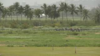 Vidéo de la course PMU PRIX DE LA VILLE DE SAINTE-MARIE