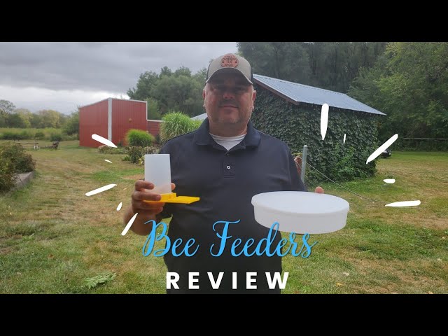 Beehive Beekeeping Water Dispenser Honey Beehive E... - Vicedeal