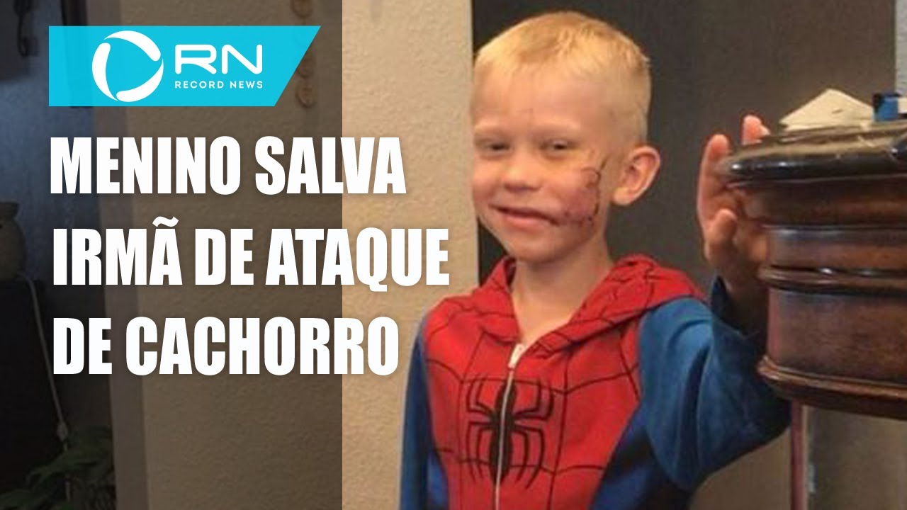 Menino salva a irmã de ataque de cachorro e recebe mensagem do ator Chris Evans