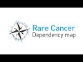 Broad Institute: The Rare Cancer Dependency Map