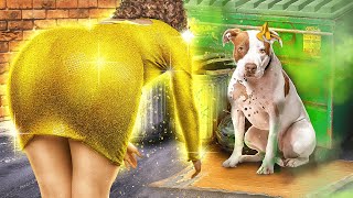 Rich Girl Saved a Street Dog! Gadgets and Hacks for Pets!