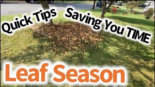 Leaf Cleanup // Time Saving Tips for Mowing and Mulching Leaves // Pre Season Prep on Properties