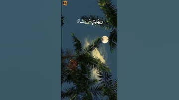 والله يدعو إلى دار السلام ] القارئ (( عبد الرحمن مسعد )